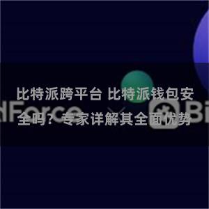 比特派跨平台 比特派钱包安全吗？专家详解其全面优势