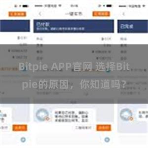 Bitpie APP官网 选择Bitpie的原因，你知道吗？