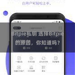 Bitpie私钥 选择Bitpie的原因，你知道吗？