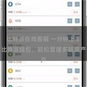 比特派在线客服 一分钟上手比特派钱包，轻松管理多链资产