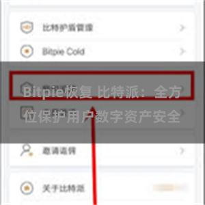 Bitpie恢复 比特派：全方位保护用户数字资产安全