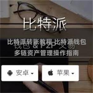 比特派转账教程 比特派钱包多链资产管理操作指南