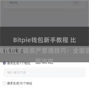 Bitpie钱包新手教程 比特派钱包多链资产管理技巧：全面攻略