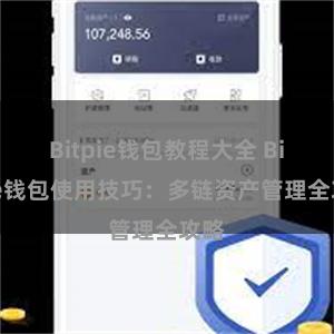 Bitpie钱包教程大全 Bitpie钱包使用技巧：多链资产管理全攻略