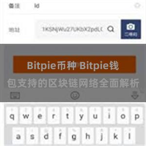 Bitpie币种 Bitpie钱包支持的区块链网络全面解析