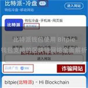 比特派钱包使用 Bitpie钱包支持的区块链网络全面解析