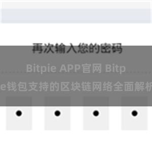 Bitpie APP官网 Bitpie钱包支持的区块链网络全面解析