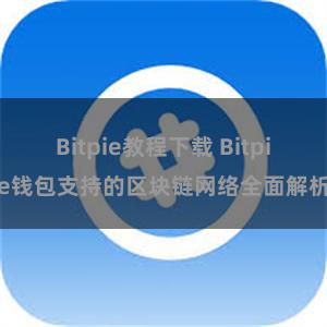 Bitpie教程下载 Bitpie钱包支持的区块链网络全面解析