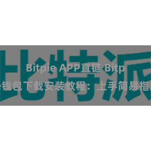 Bitpie APP直链 Bitpie钱包下载安装教程：上手简易指南