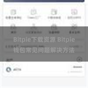 Bitpie下载资源 Bitpie钱包常见问题解决方法