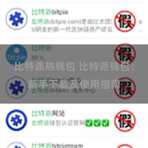 比特派热钱包 比特派钱包：新手下载及使用指南