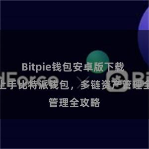 Bitpie钱包安卓版下载 快速上手比特派钱包，多链资产管理全攻略