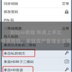 Bitpie教程 快速上手比特派钱包，多链资产管理全攻略