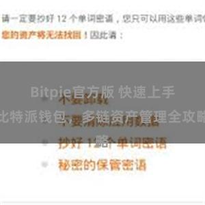 Bitpie官方版 快速上手比特派钱包，多链资产管理全攻略