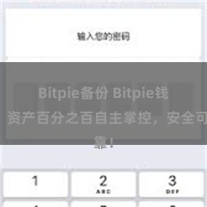 Bitpie备份 Bitpie钱包：资产百分之百自主掌控，安全可靠！