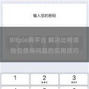 Bitpie跨平台 解决比特派钱包使用问题的实用技巧