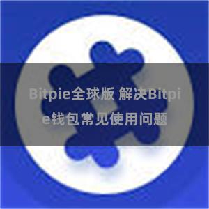 Bitpie全球版 解决Bitpie钱包常见使用问题