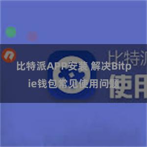 比特派APP安装 解决Bitpie钱包常见使用问题