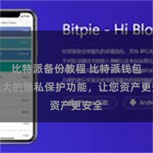 比特派备份教程 比特派钱包：强大的隐私保护功能，让您资产更安全