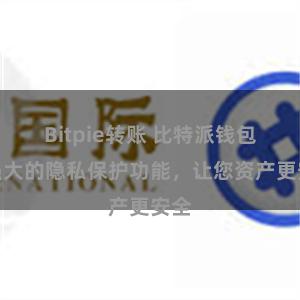 Bitpie转账 比特派钱包：强大的隐私保护功能，让您资产更安全