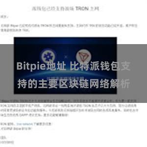 Bitpie地址 比特派钱包支持的主要区块链网络解析