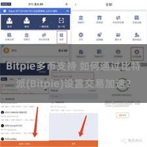 Bitpie多币支持 如何通过比特派(Bitpie)设置交易加速？