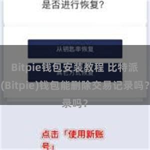 Bitpie钱包安装教程 比特派(Bitpie)钱包能删除交易记录吗？