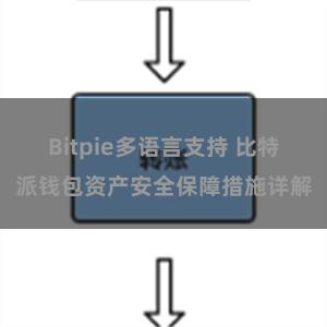 Bitpie多语言支持 比特派钱包资产安全保障措施详解