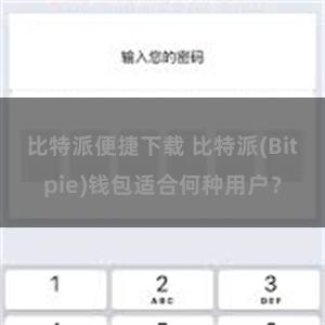 比特派便捷下载 比特派(Bitpie)钱包适合何种用户？