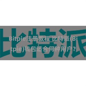 Bitpie注册教程 比特派(Bitpie)钱包适合何种用户？