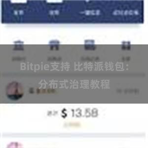 Bitpie支持 比特派钱包：分布式治理教程