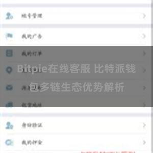 Bitpie在线客服 比特派钱包多链生态优势解析