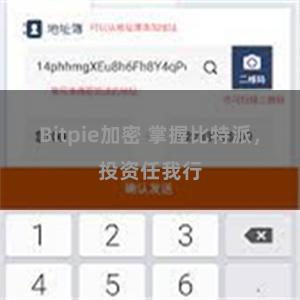 Bitpie加密 掌握比特派，投资任我行
