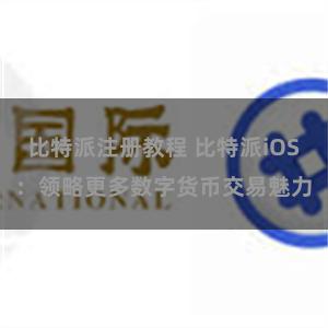 比特派注册教程 比特派iOS：领略更多数字货币交易魅力