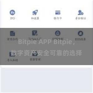 Bitpie APP Bitpie，数字资产安全可靠的选择