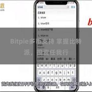 Bitpie多币支持 掌握比特派，投资任我行