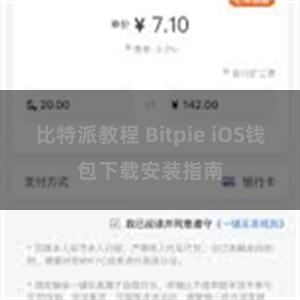 比特派教程 Bitpie iOS钱包下载安装指南
