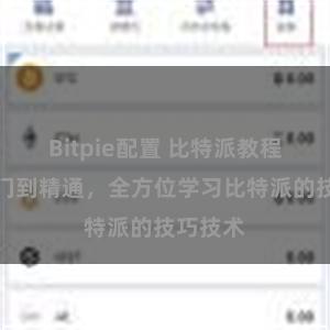 Bitpie配置 比特派教程：从入门到精通，全方位学习比特派的技巧技术