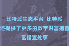 比特派生态平台  比特派钱包还提供了更多的数字财富措置处事