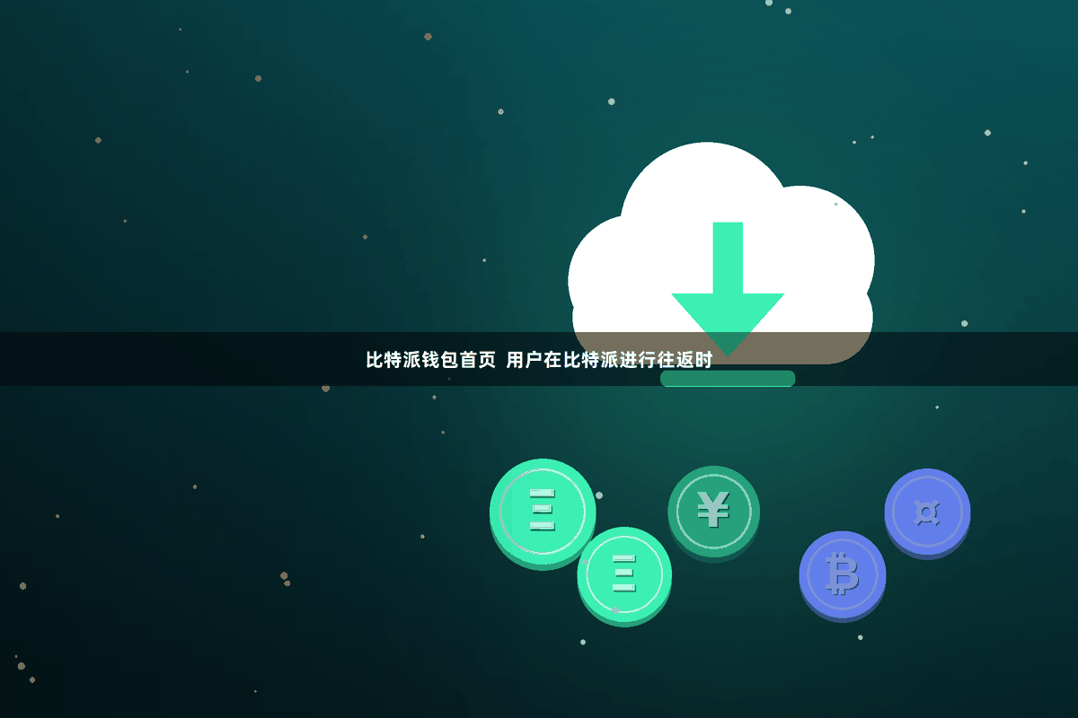 比特派钱包首页  用户在比特派进行往返时